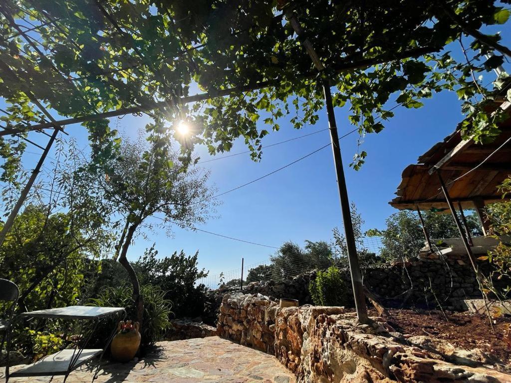 Find Your Peace In A Traditional Country House!! Láyia エクステリア 写真