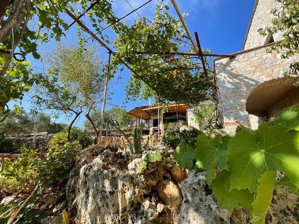 Find Your Peace In A Traditional Country House!! Láyia エクステリア 写真